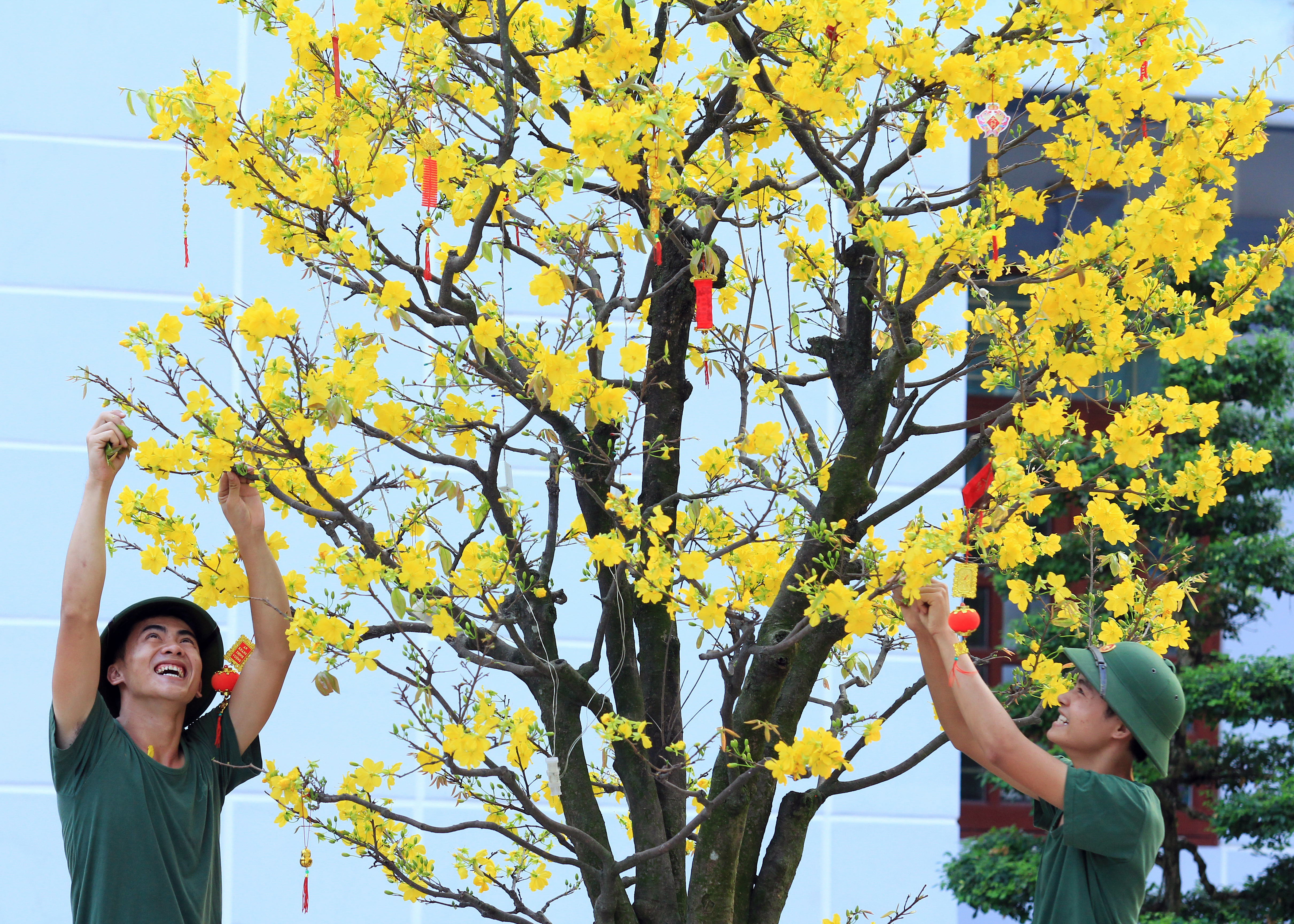 Thanh xuân không tuổi